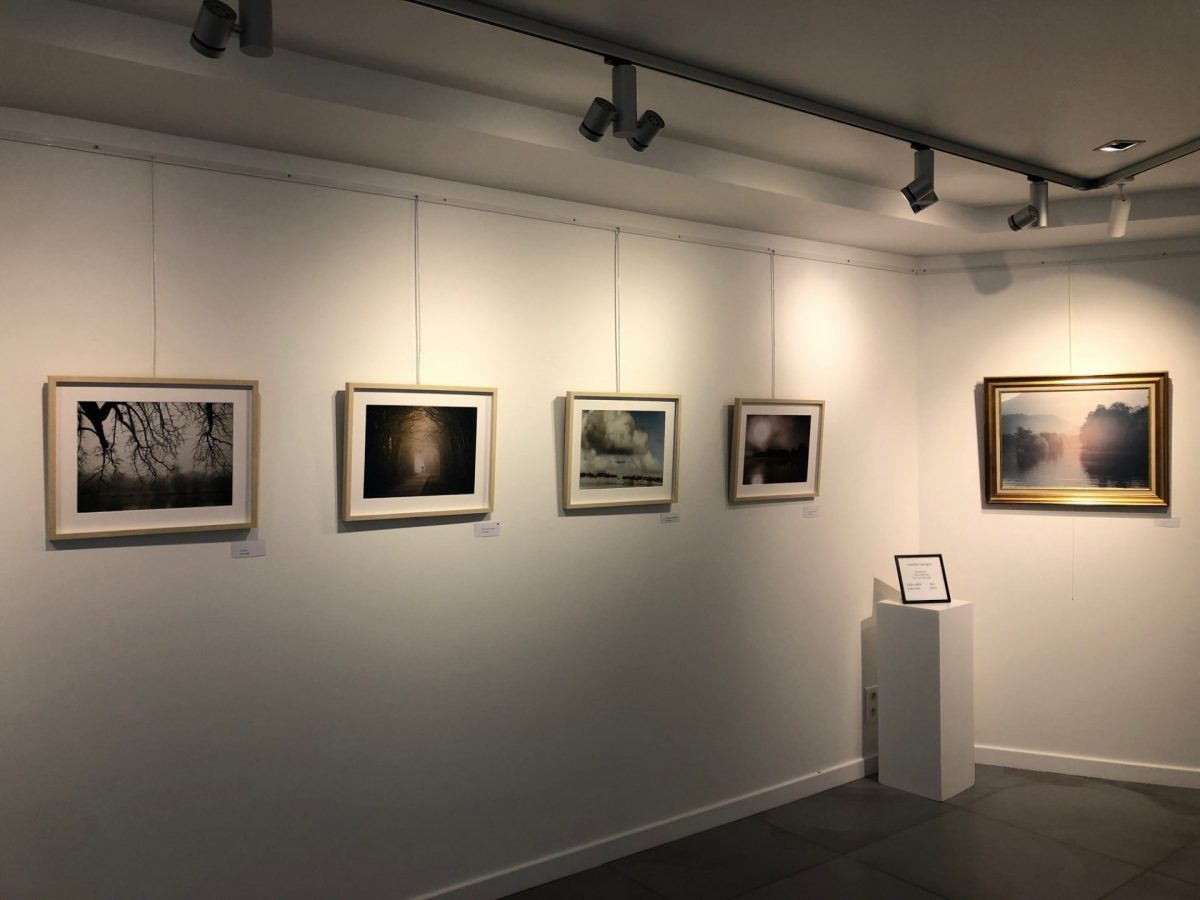 Expositions à la galerie Delobel à Ouistreham - ©Caen la mer Tourisme