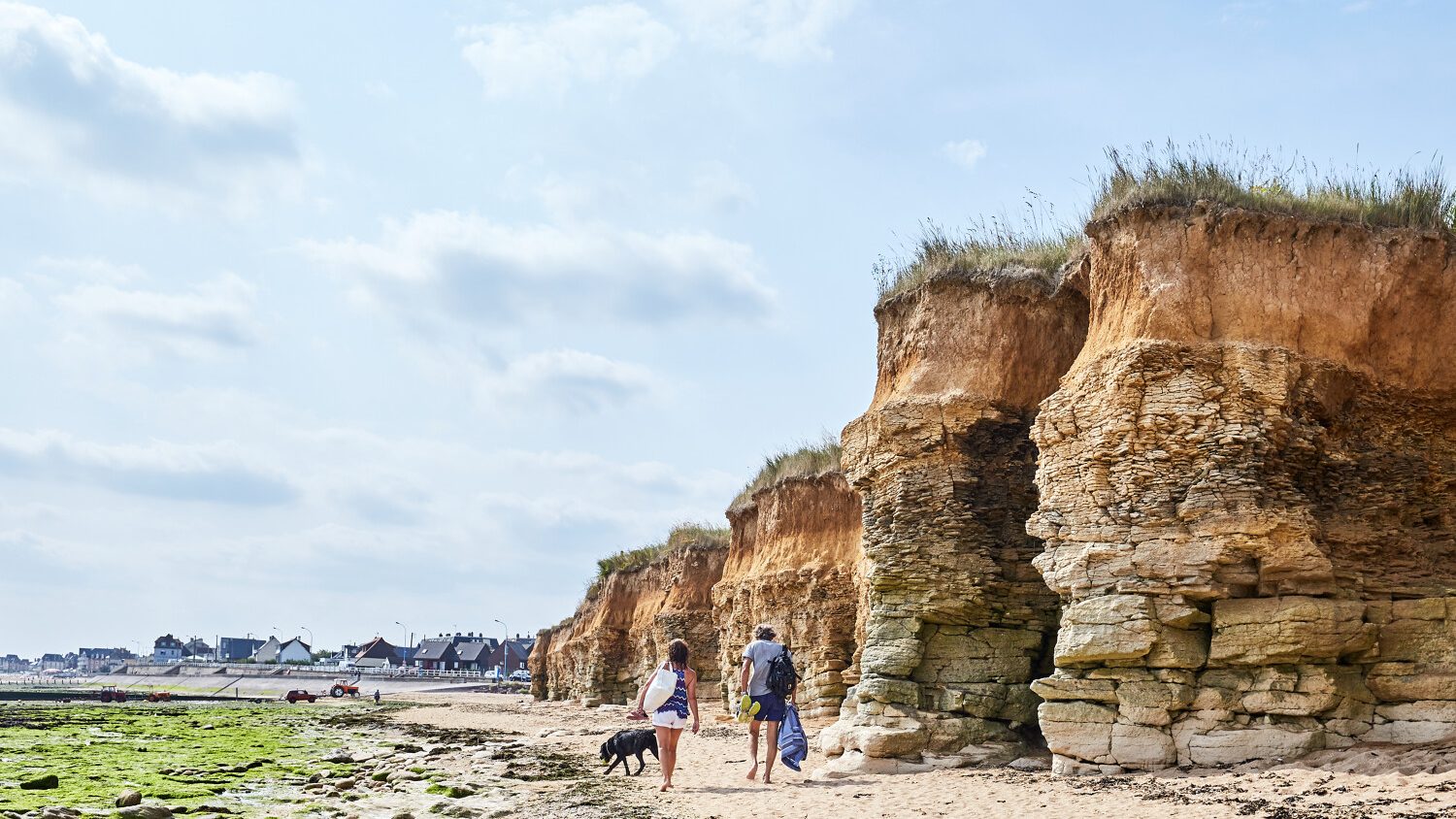 Parcs, jardins et espaces naturels avec son chien