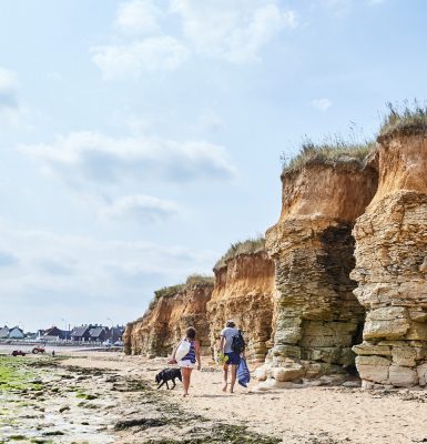 Parcs, jardins et espaces naturels avec son chien