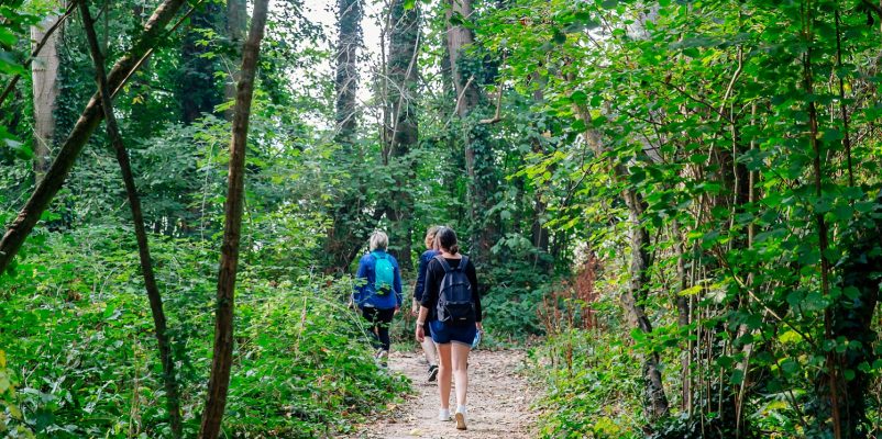 Le top des randonnées à faire à Caen la mer