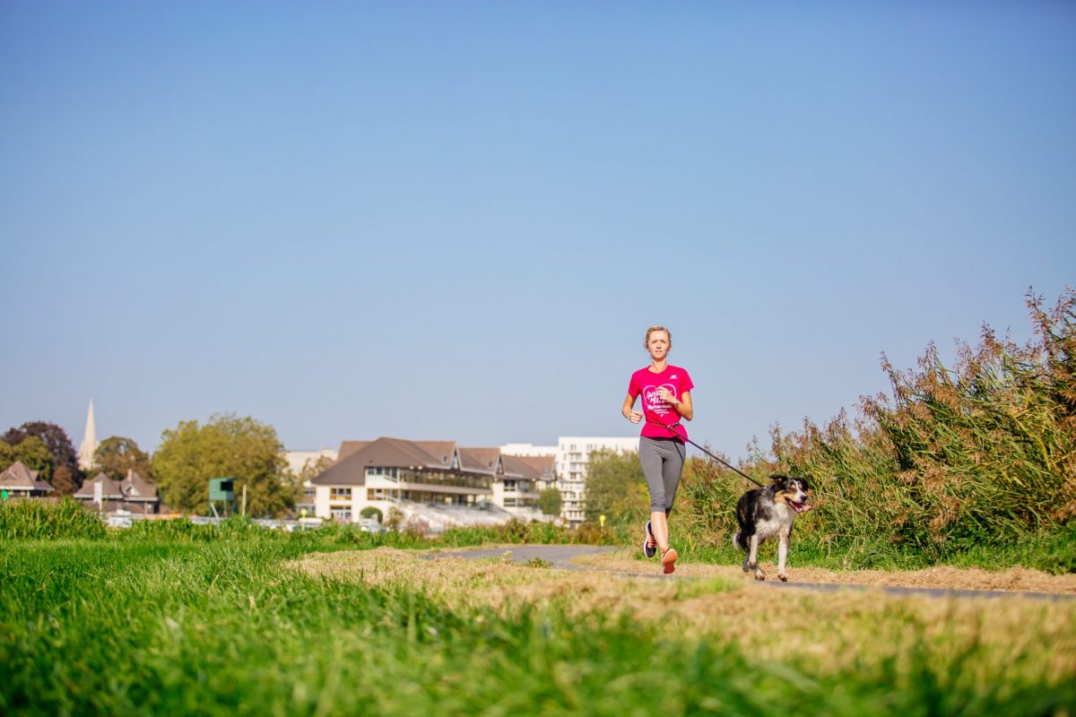 Courir avec son chien à la prairie