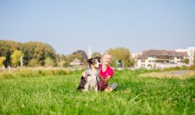 Caen la mer avec son chien, notre guide pet-friendly