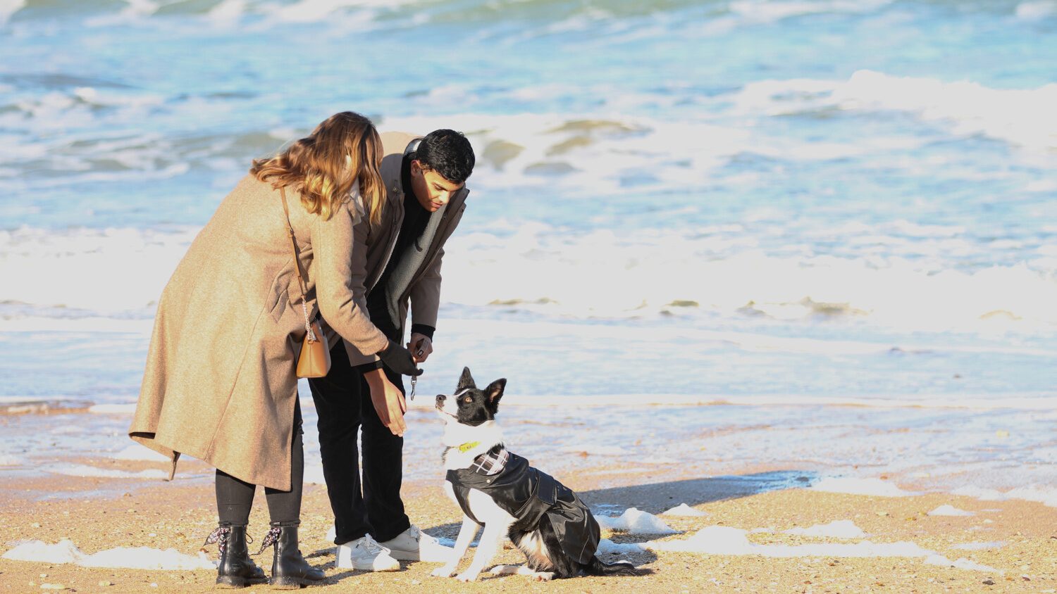 Activités et loisirs à partager avec son chien à Caen la mer