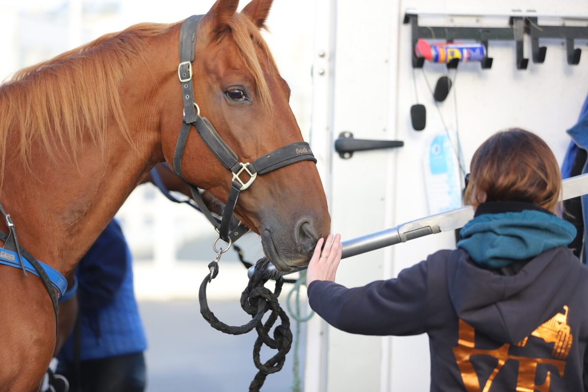 Baptême en Sulky à Ouistreham avec Sulky Passion