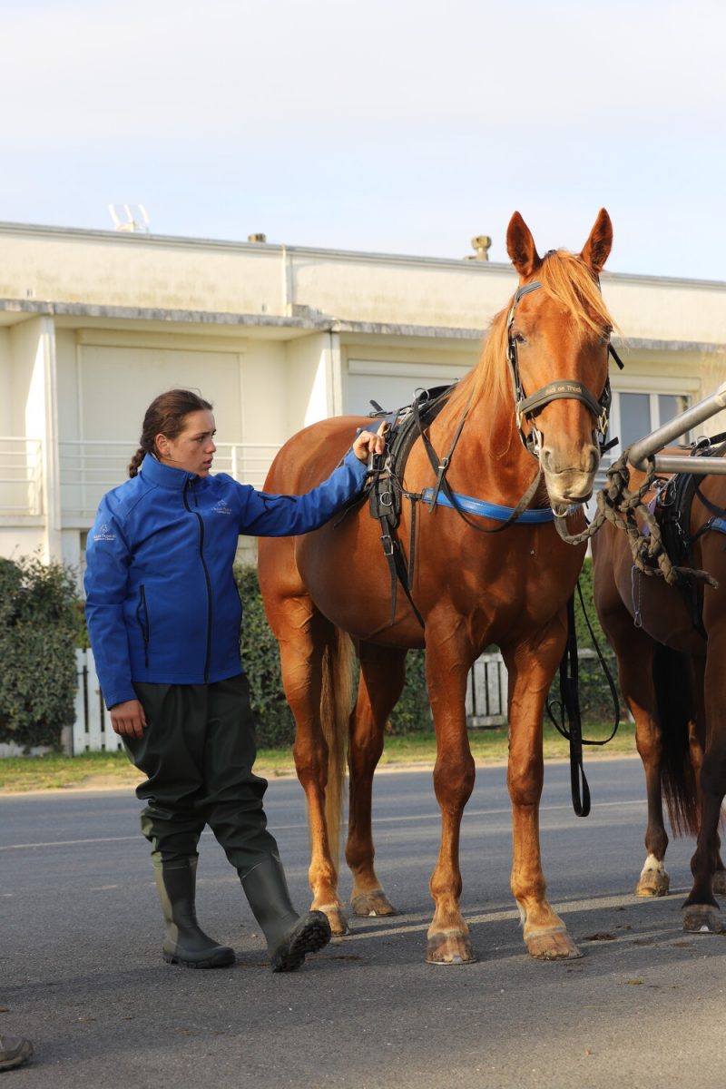 Baptême en Sulky à Ouistreham avec Sulky Passion