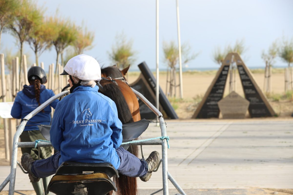 Baptême en Sulky à Ouistreham avec Sulky Passion