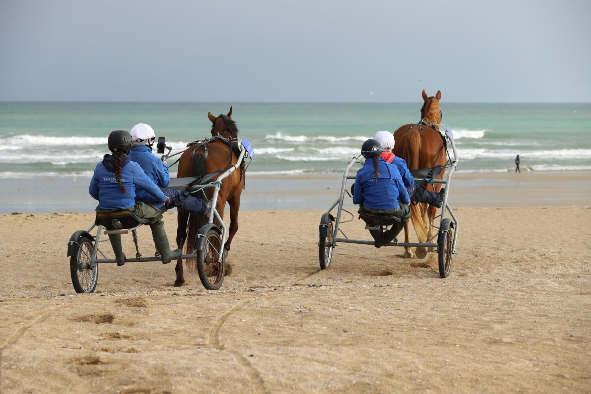Baptême en Sulky à Ouistreham avec Sulky Passion