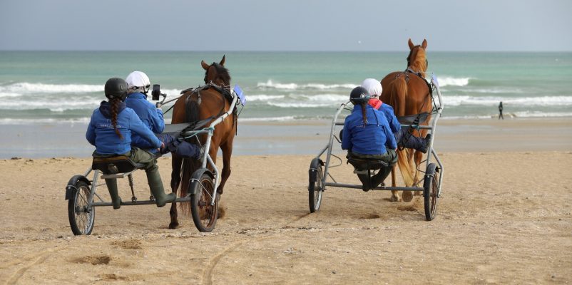 Expériences à Vivre