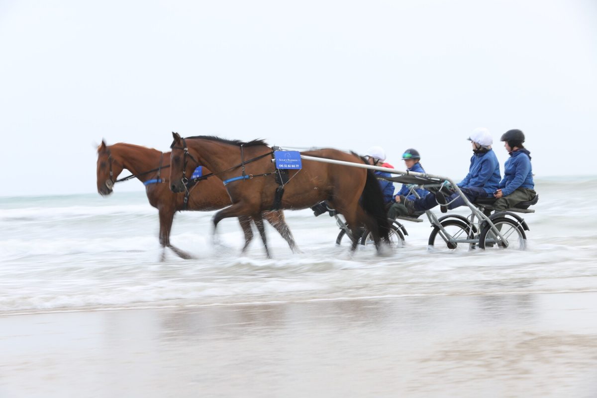 Baptême en Sulky à Ouistreham avec Sulky Passion