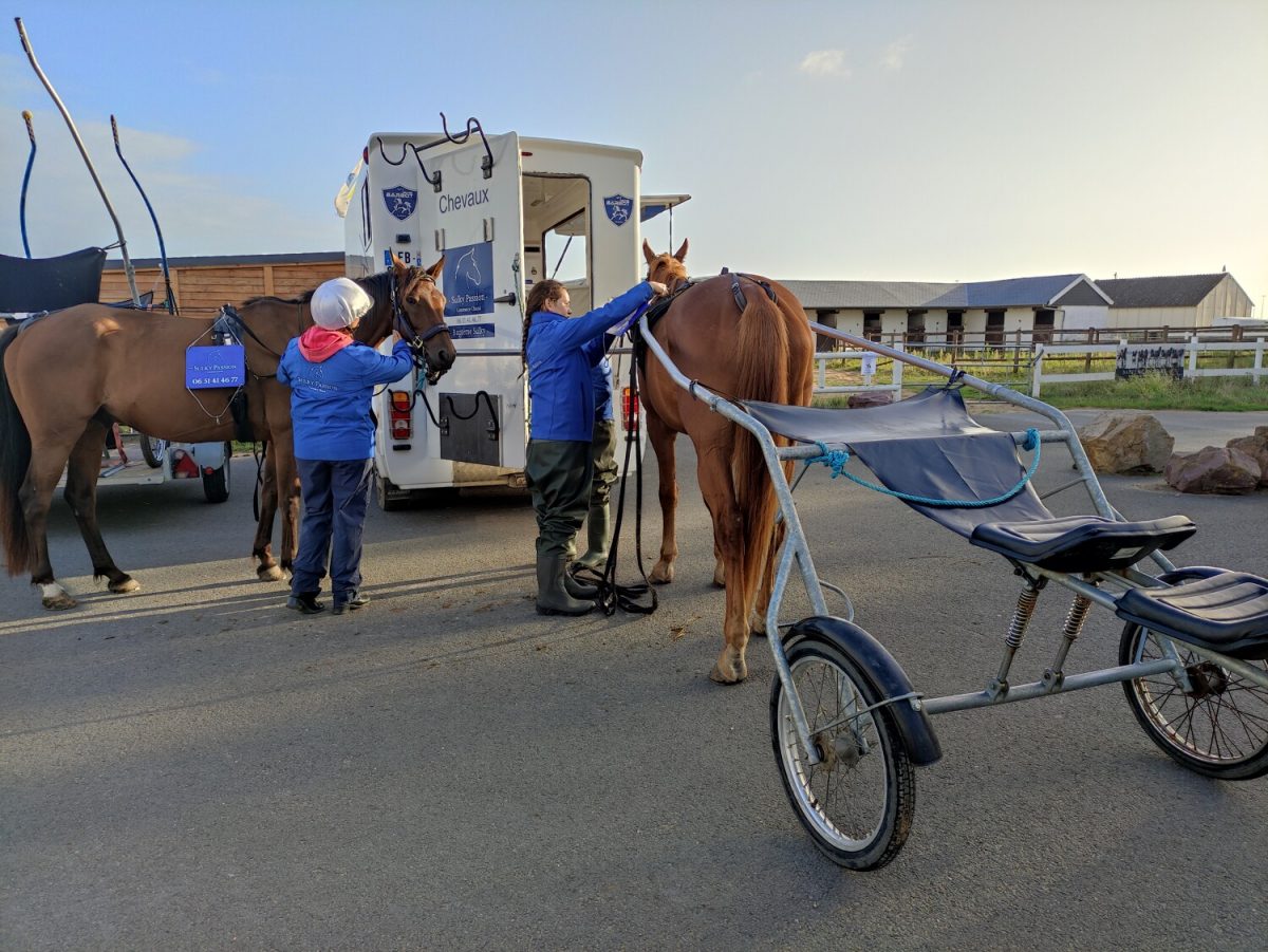 Baptême en Sulky à Ouistreham avec Sulky Passion