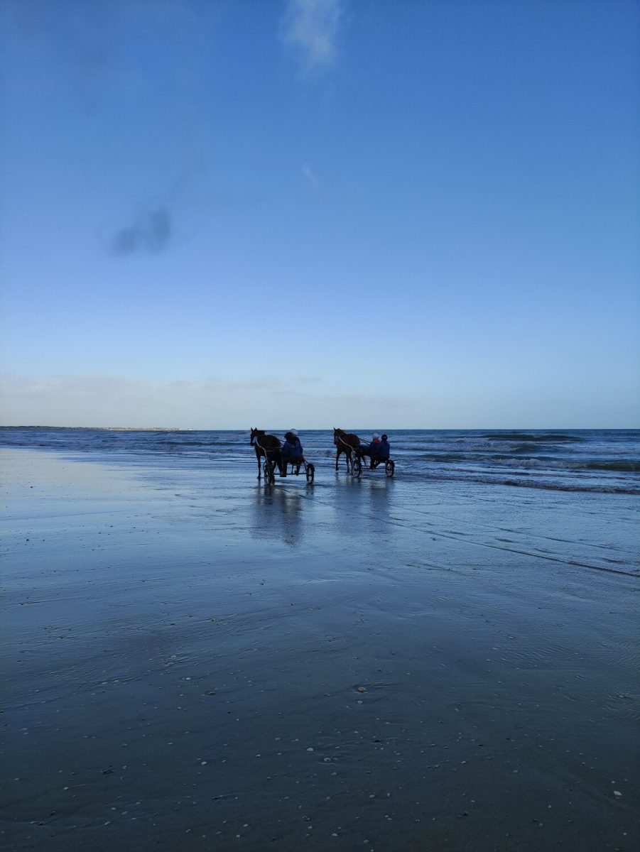 Baptême en Sulky à Ouistreham avec Sulky Passion
