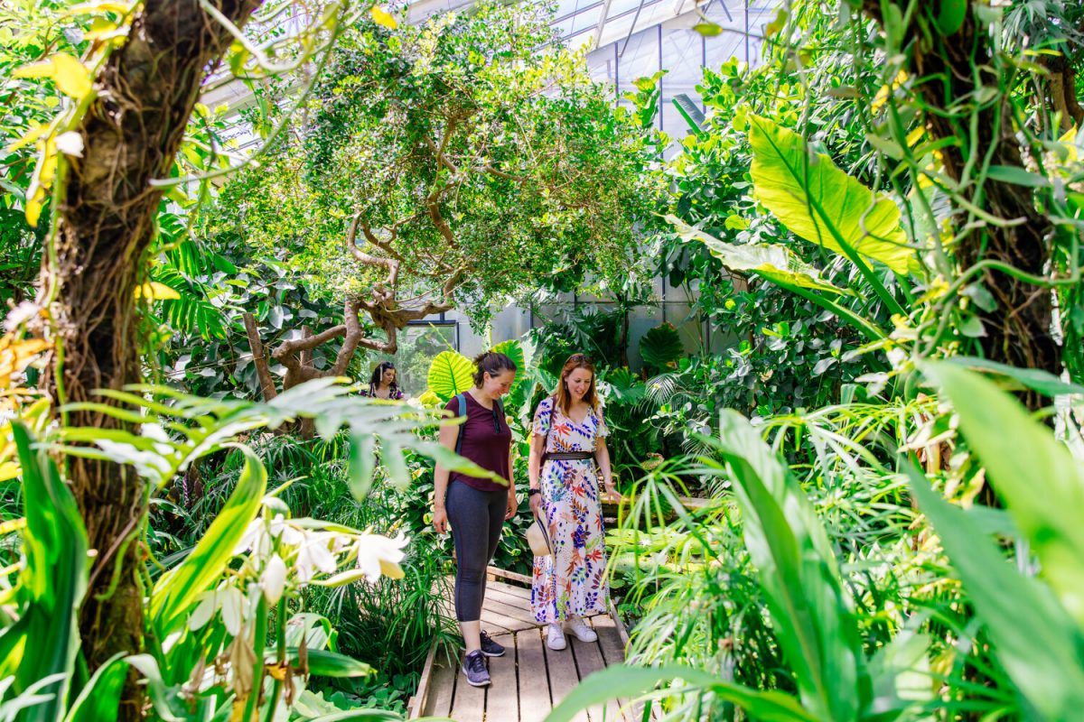 Serres du jardin des plantes de Caen