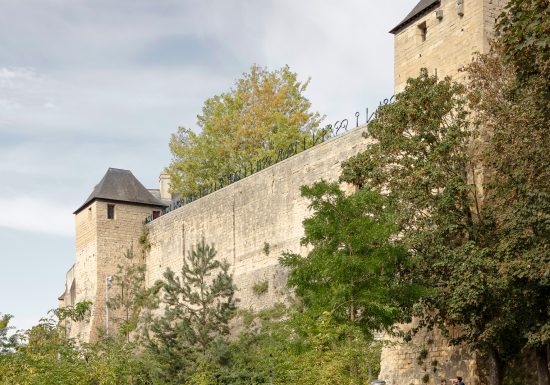 ElvireBonduelle_ADAGP 2025_IRON WILL