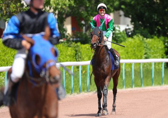 A la découverte des coulisses de l’hippodrome