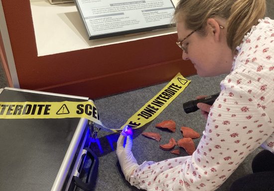 Mystère au musée – Musée de Normandie