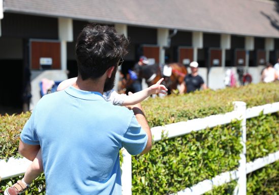 A la découverte des coulisses de l’hippodrome