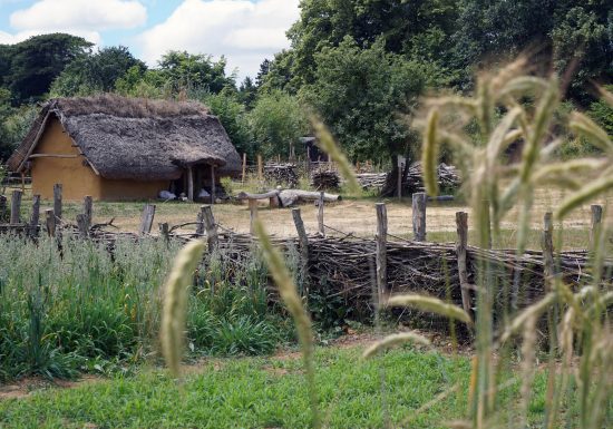 La petite ferme et la haie en plessage