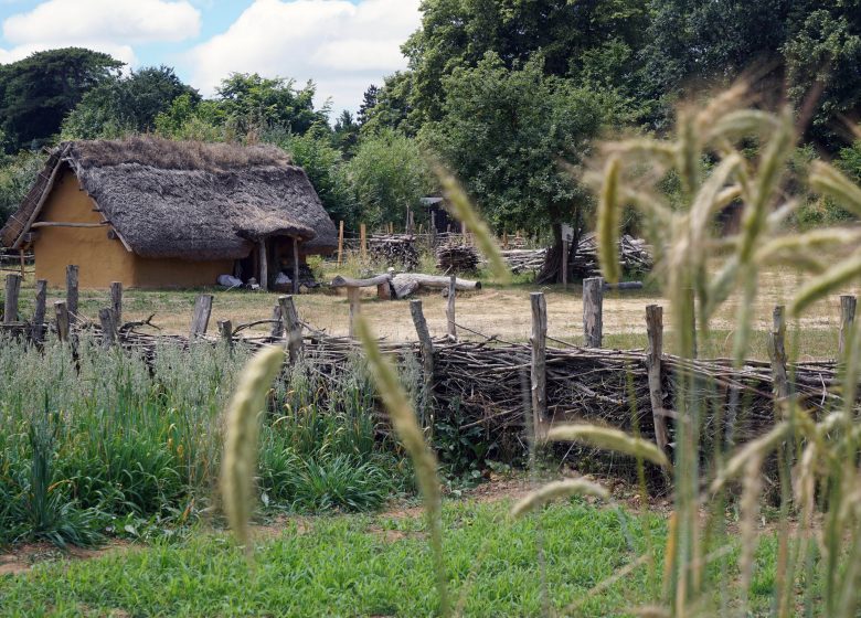 La petite ferme et la haie en plessage