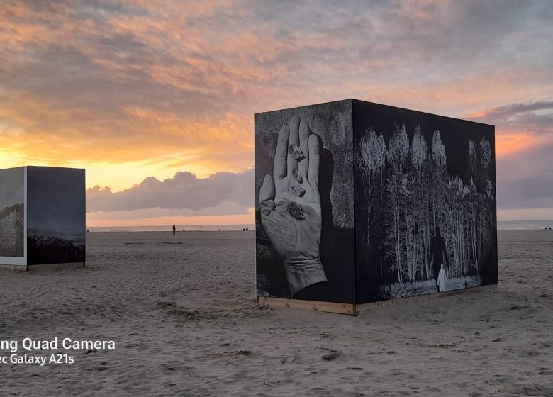 Sunset in Deauville - Acsm Tours