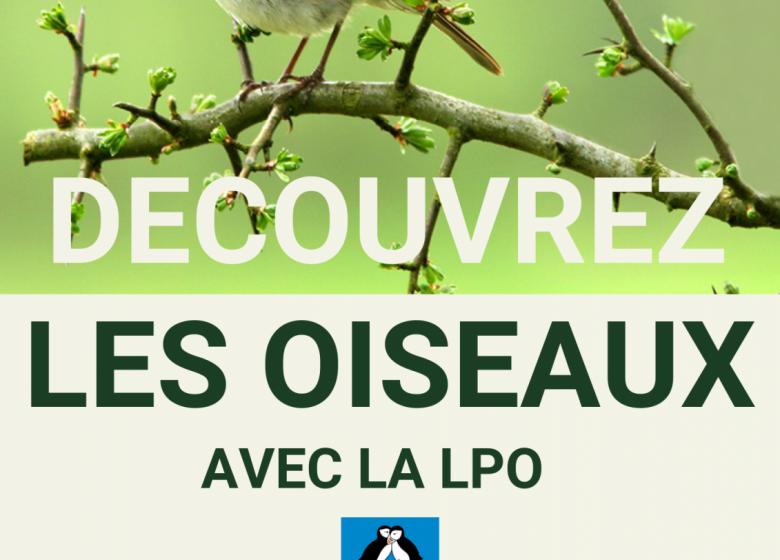 Fêtons les jardins