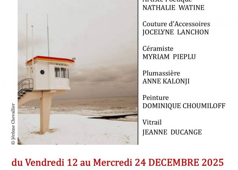 c’est pas loin c’est à lion