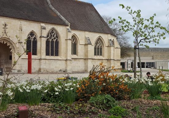 Jardin des simples au Château de Caen
