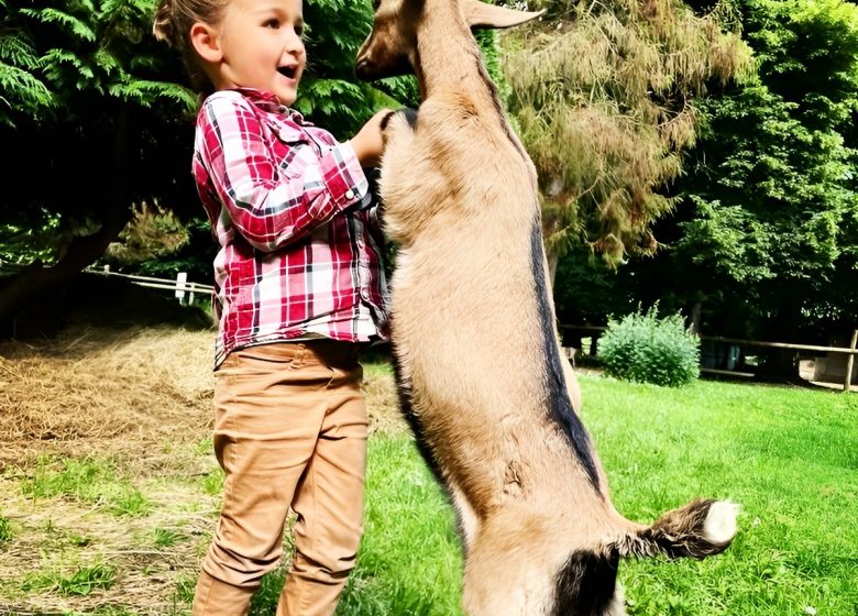 286887070_3408981626041984_7855303124893825332_n