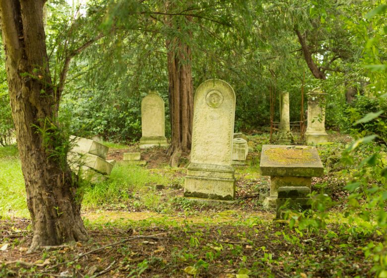 294073-Cimetiere-dormant-des-4-nations-a-Caen-Caen-la-mer-Tourisme—Pauline—Mehdi—Photographie-1200px