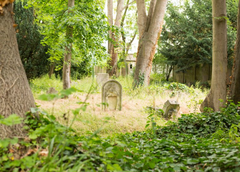 294087-Cimetiere-dormant-Saint-Pierre-a-Caen-Caen-la-mer-Tourisme—Pauline—Mehdi—Photographie-1200px