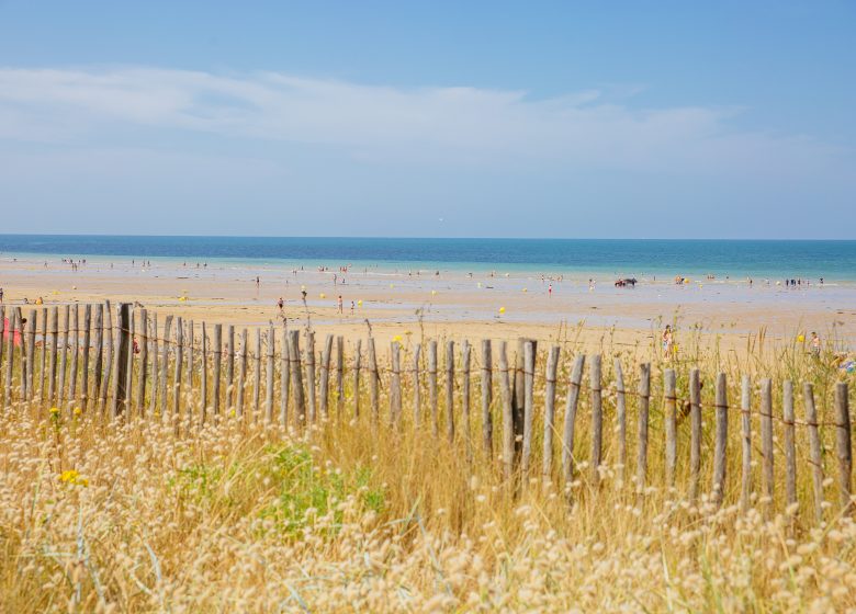295410-Bord_de_plage-Caen_la_mer_Tourisme___Les_Conteurs_(Droits_reserves_Office_de_Tourisme___des_Congres)