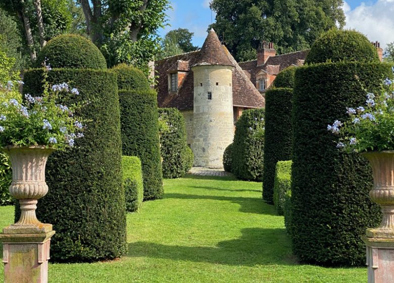 3 cone de vue