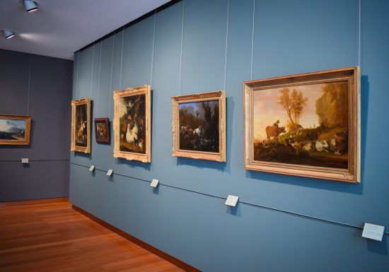 Musée des Beaux-Arts de Caen