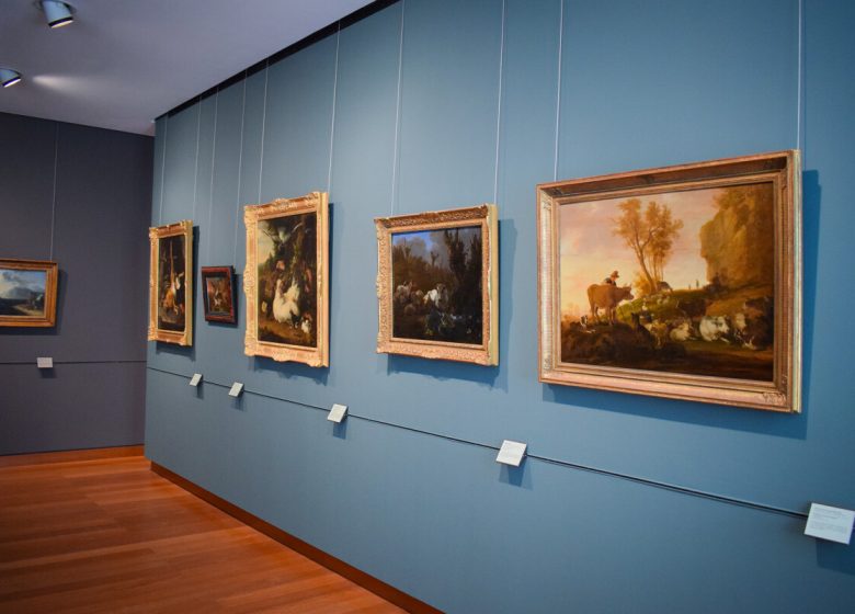 Musée des Beaux-Arts de Caen