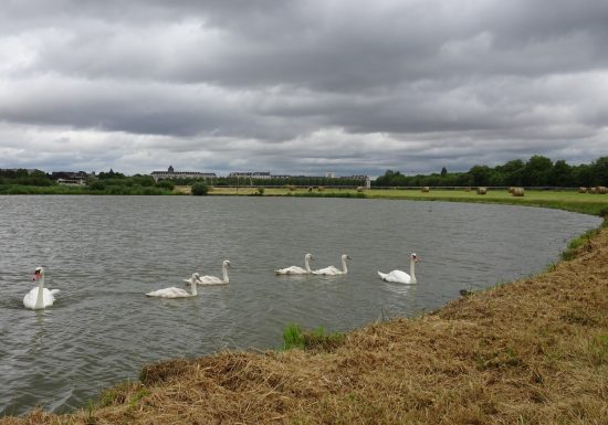 33530-La_Prairie-__Ville_de_Caen-1500px