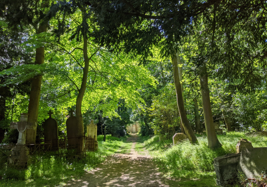 Cimetières dormants