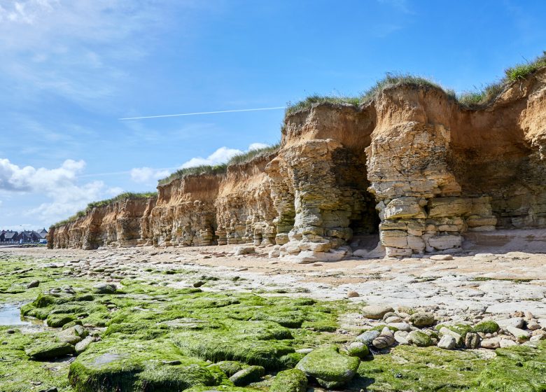 46057-Lion-sur-mer__falaises-Caen_la_mer_Tourisme___Fabien_MAHAUT-1500px
