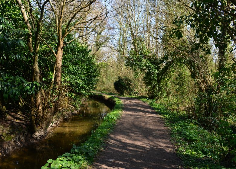 543844-Sentier_sous_le_chemin_des_Costils_Lambalard-___Ville_de_Caen