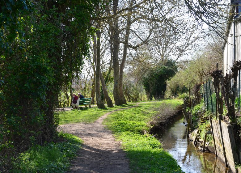 543858-Sentier_sous_le_chemin_des_Costils_Lambalard-___Ville_de_Caen