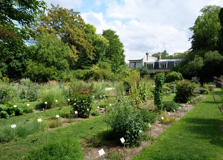 567627-Jardin_des_plantes-Francois_DECAENS___Ville_de_Caen