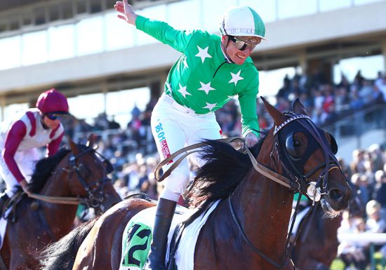 A la découverte des coulisses de l’hippodrome