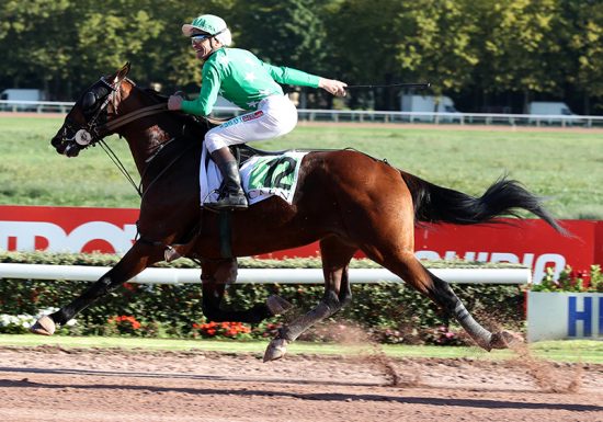 Hippodrome de Caen_800x600_00217817-084-scoopdyga