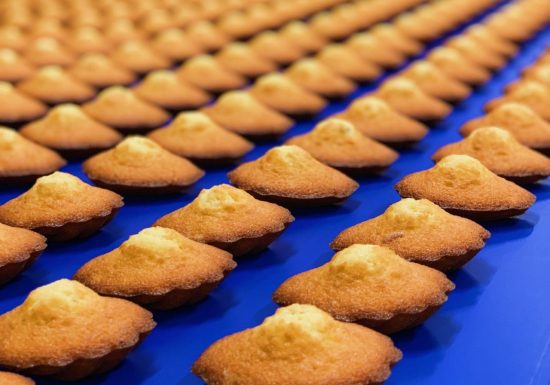 Madeleines-Jeannette-Caen