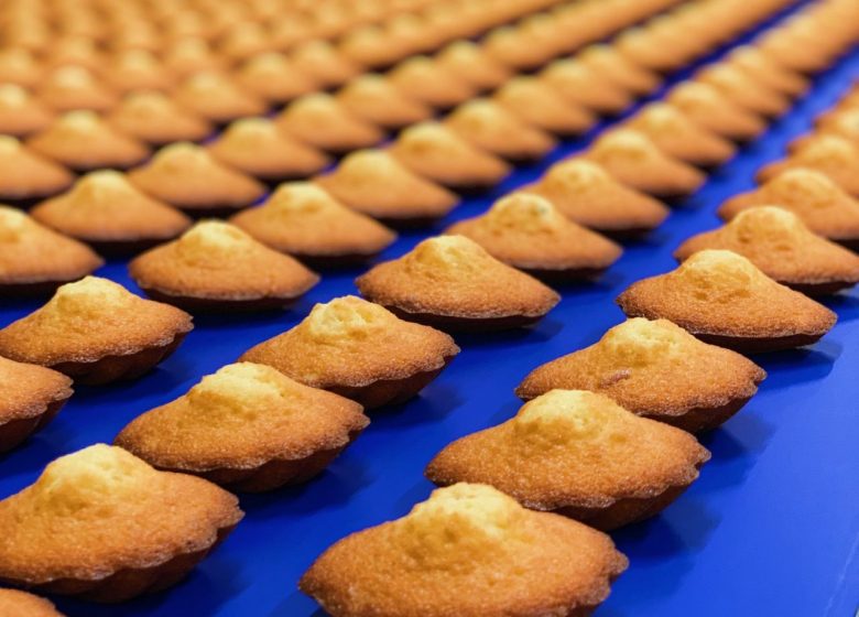 Madeleines-Jeannette-Caen