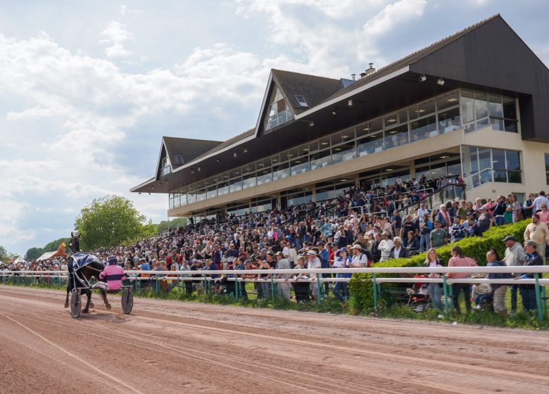 A la découverte des coulisses de l’hippodrome