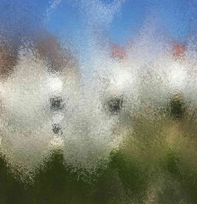 Exposition Adrien Lefebvre « TELLURIS »