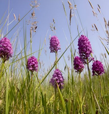 La vallée de l’Odon