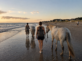 Au pas des chevaux