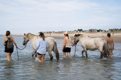 Au pas des Chevaux