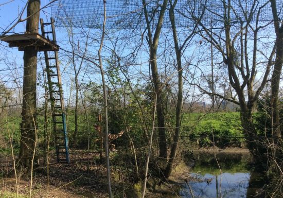 beauregard-aventure-accrobranche