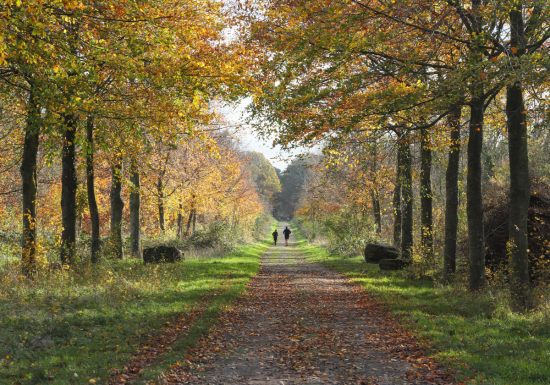 Bois des Amis de Jean Bosco